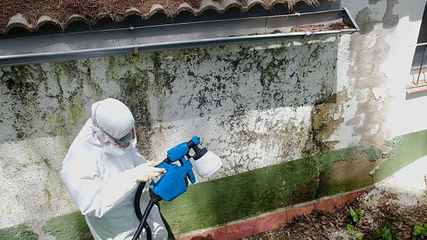 Top rated local Mold Remediation specialists in Henderson, CO